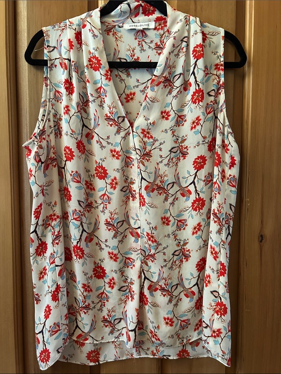 Rose & Olive Tops - Rose & Olive Cream Floral V-Neck Sleeveless Top with Red & Light Blue Accents